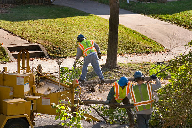 Best Leaf Removal  in Richmond, IN